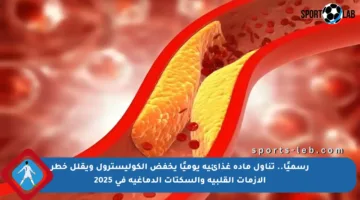 رسميًا.. تناول مادة غذائية يوميًا يخفض الكوليسترول ويقلل خطر الأزمات القلبية والسكتات الدماغية في 2025